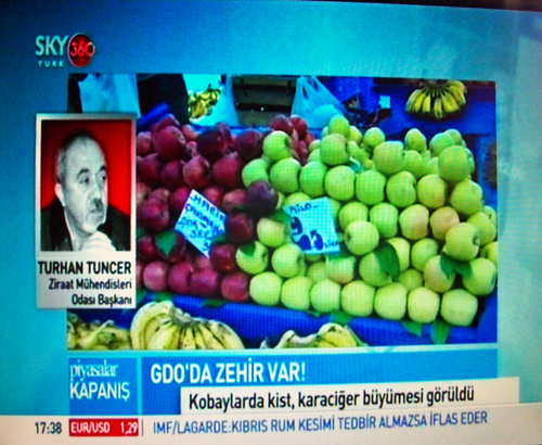 SKY TÜRK TV YAYINI - GDO