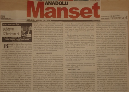 ZMO TARIM KÖŞESİ - BUĞDAYIN GÜBRELENMESİ - ANADOLU MANŞET