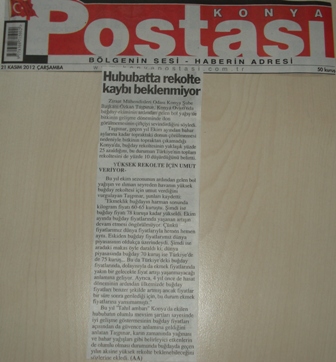 ”HUBUBATTA REKOLTE KAYBI BEKLENMİYOR”-YENİ MERAM ,“REKOLTE KAYBI OLMAYACAK”-ANADOLU MANŞET, YENİ KONYA-KONYA POSTASI-MERHABA-RASYONEL HABER, YENİ HABER, MEMLEKET, TELGRAF