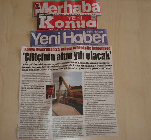 "KONYA OVASI`NDA HUBUBAT HASADI BAŞLIYOR"-MEMLEKET, MERHABA, YENİ KONYA, YENİ HABER 