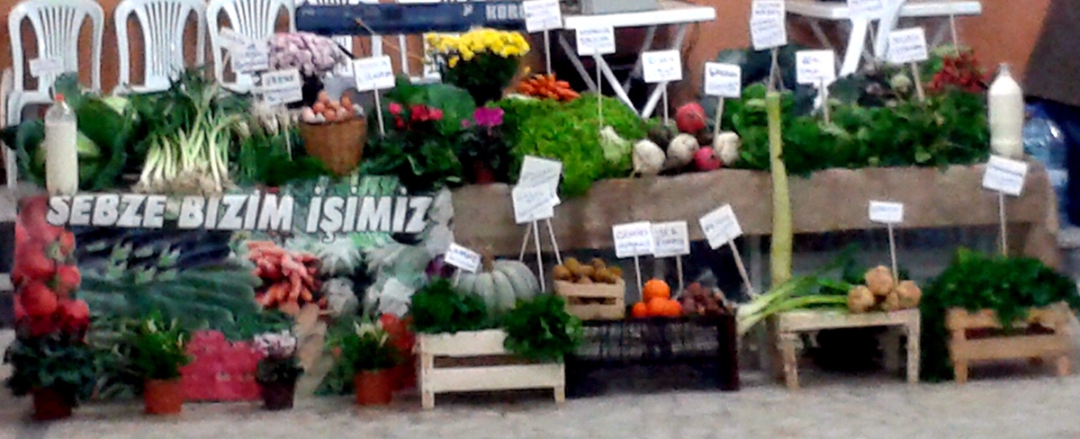 SARIYER GÜMÜŞDERE KÖYÜNDE ŞENLİK