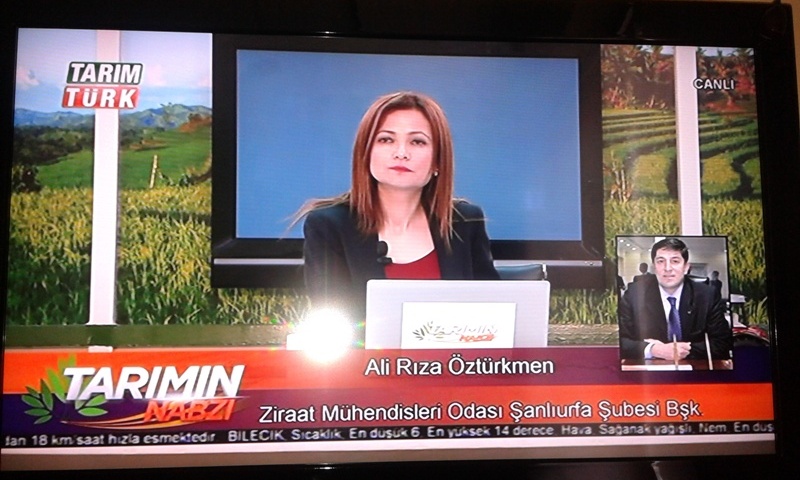 TARIM TÜRK TV CANLI BAĞLANTI