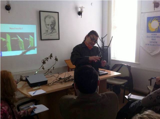 DIŞ MEKAN BİTKİLERİNDE BUDAMA TEKNİĞİ EĞİTİMİ