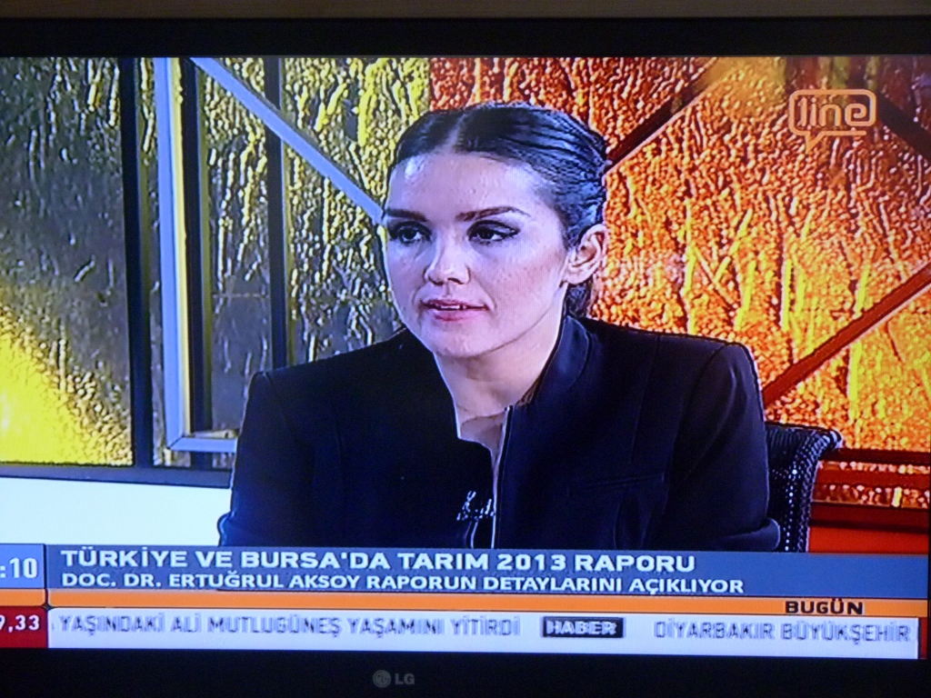 LİNE TV `BUGÜN PROGRAMI`