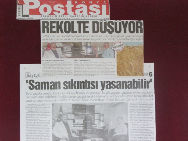 "REKOLTE DÜŞÜYOR", "SAMAN SIKINTISI YAŞANABİLİR"- KONYA POSTASI