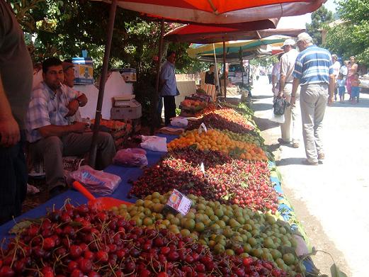 EKOLOJİK KİRAZ FESTİVALİNE KATILDIK
