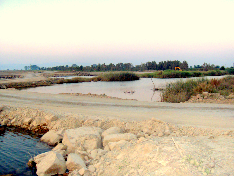YALOVA TERSANE YERİ ÇEVRESİ İLE İLGİLİ GÖZLEMLERİMİZ