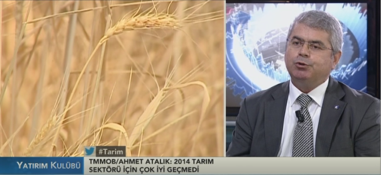 BLOOMBERGHT YAYINI