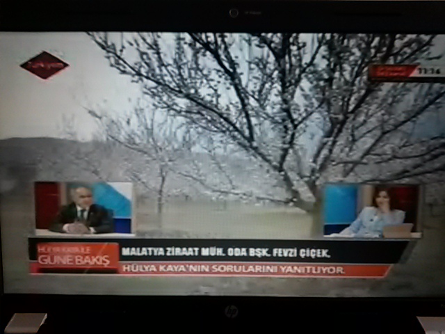 TÜRKİYEM TV CANLI YAYINI