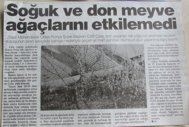 SOĞUK MEYVE AĞAÇLARINI ETKİLEMEDİ - AA