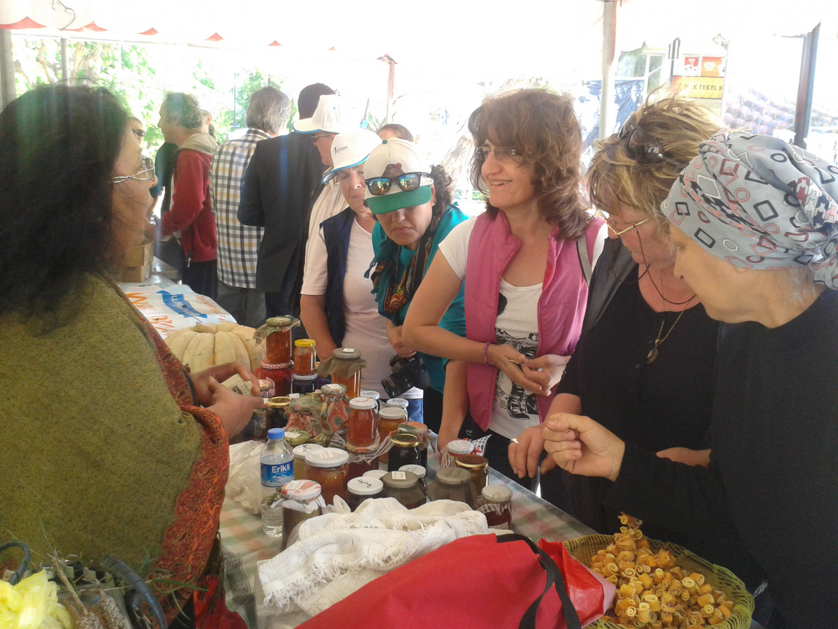 MANAVGAT YEREL TOHUM TAKAS ŞENLİĞİ