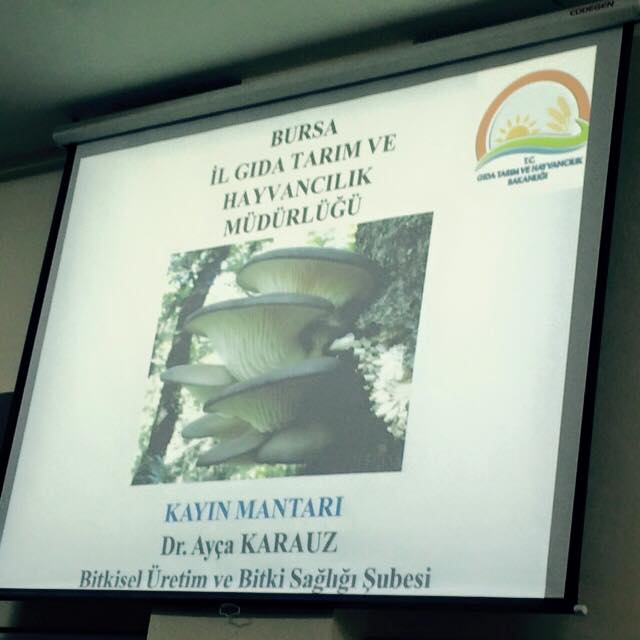 BURSA ZMO GENÇ MANTAR YETİŞTİRİCİLİĞİ EĞİTİMİ