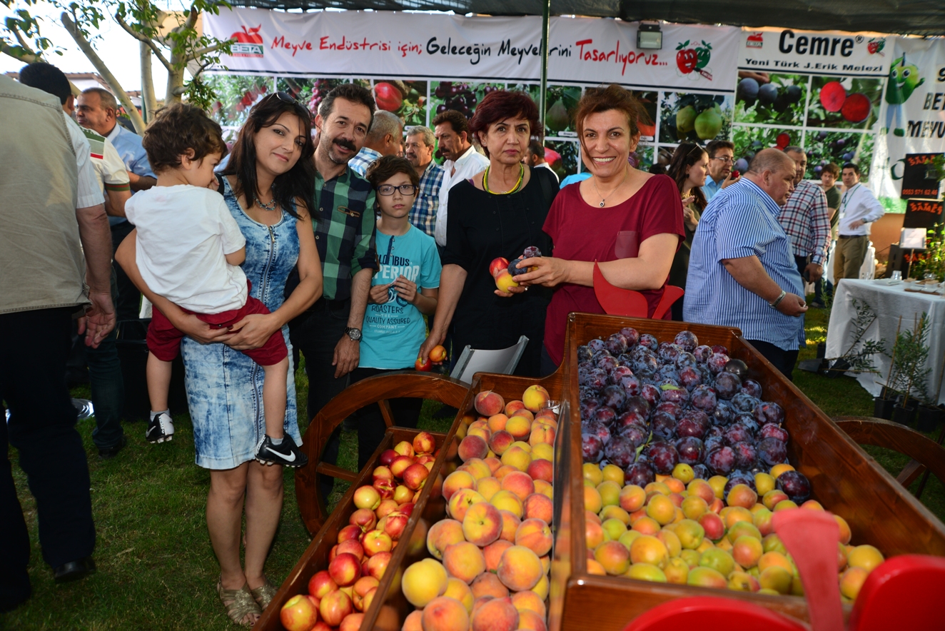 MEYVE BAYRAMI