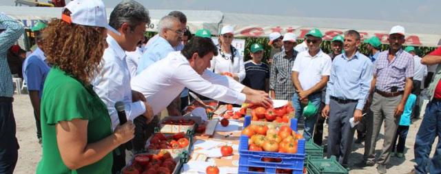 İYİ TARIM UYGULAMALARI HASAT ŞÖLENİ