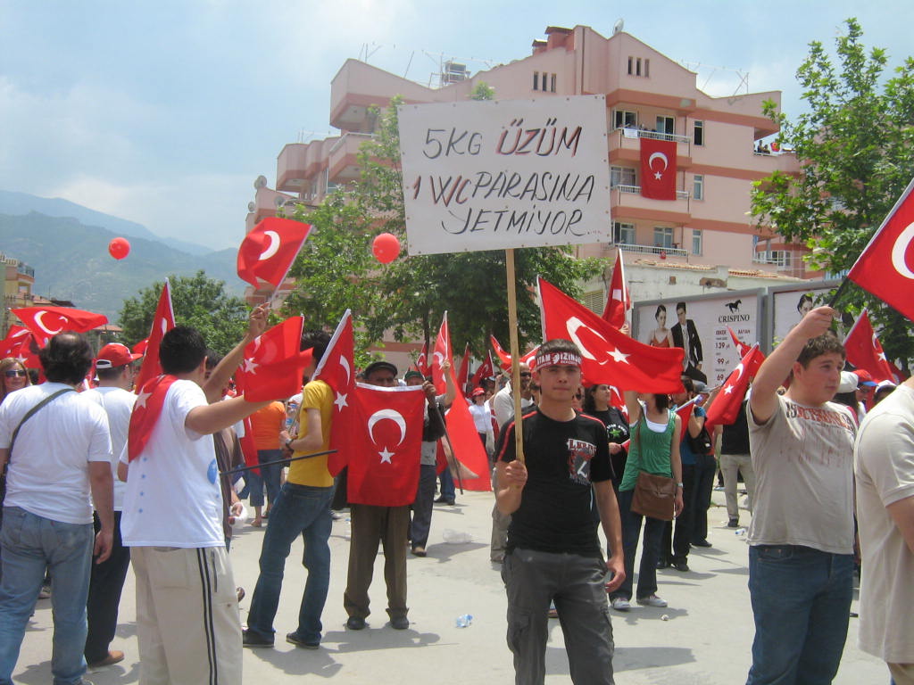"ÜZÜM ÜRETİCİSİ BU YIL DA ZARARDA"