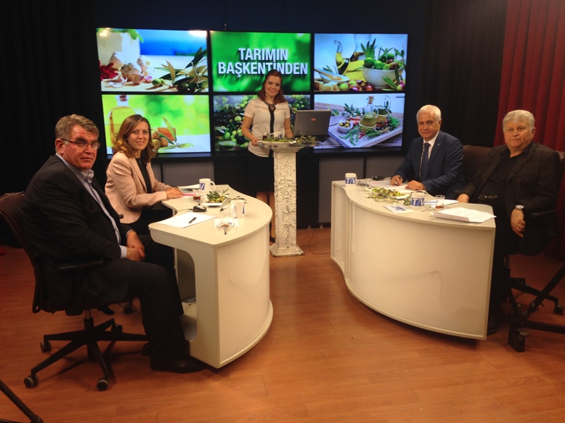 VTV YAYINI - ZEYTİN SEKTÖRÜNÜN SORUNLARI