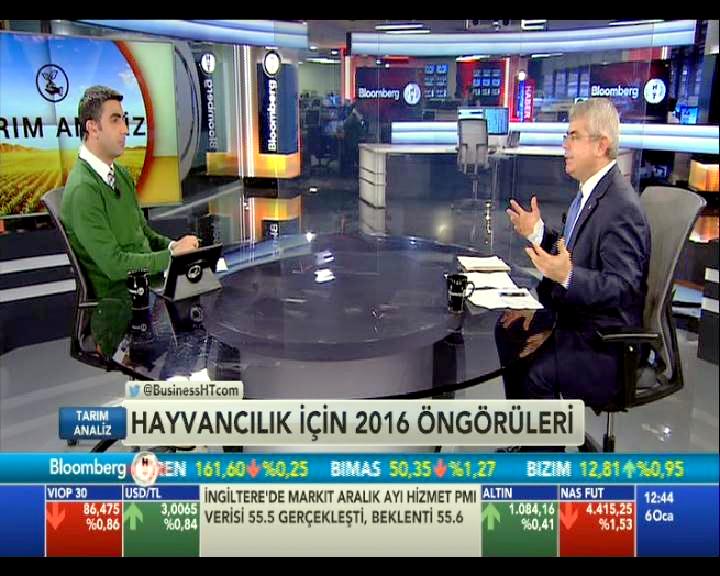 BLOOMBERGHT TV YAYINI