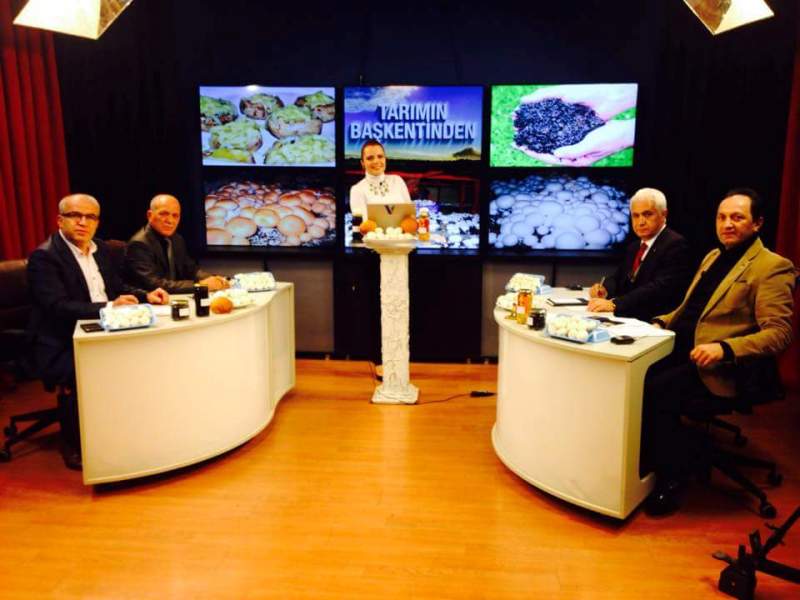 KANAL V YAYINI- MANTAR SEKTÖRÜ VE YAŞANAN SORUNLAR