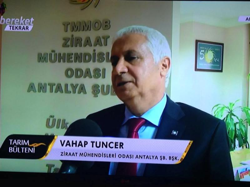 BEREKET TV YAYINI