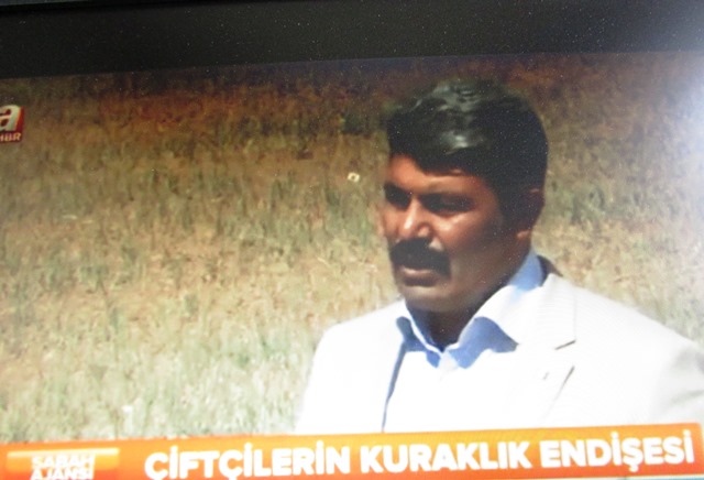 KONYA OVASI'NDAKİ ÇİFTÇİLERİN KURAKLIK ENDİŞESİ A HABER