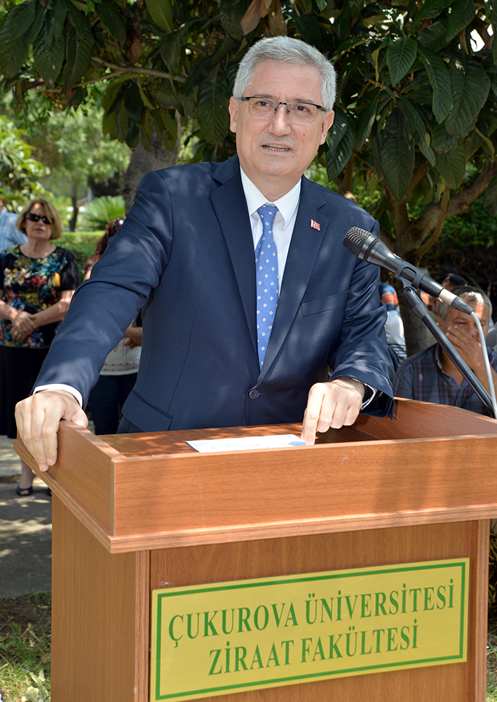 ÇUKUROVA'DA BUĞDAY HASADI BAYRAMI