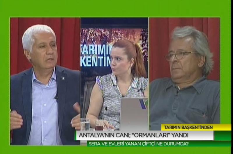 KANAL V YAYINI- KUMLUCA DA YAŞANAN ORMAN YANGINININ TARIM ALANLARINA ETKİLERİ