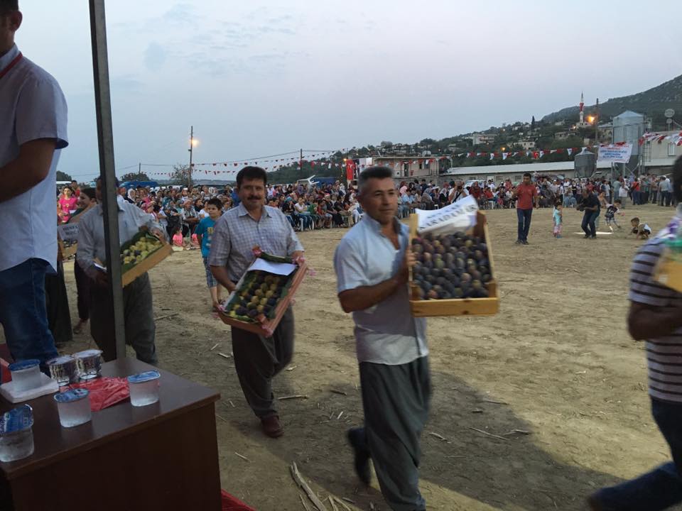  TARSUS 1. GÖÇÜK KÖYÜ İNCİR FESTİVALİ