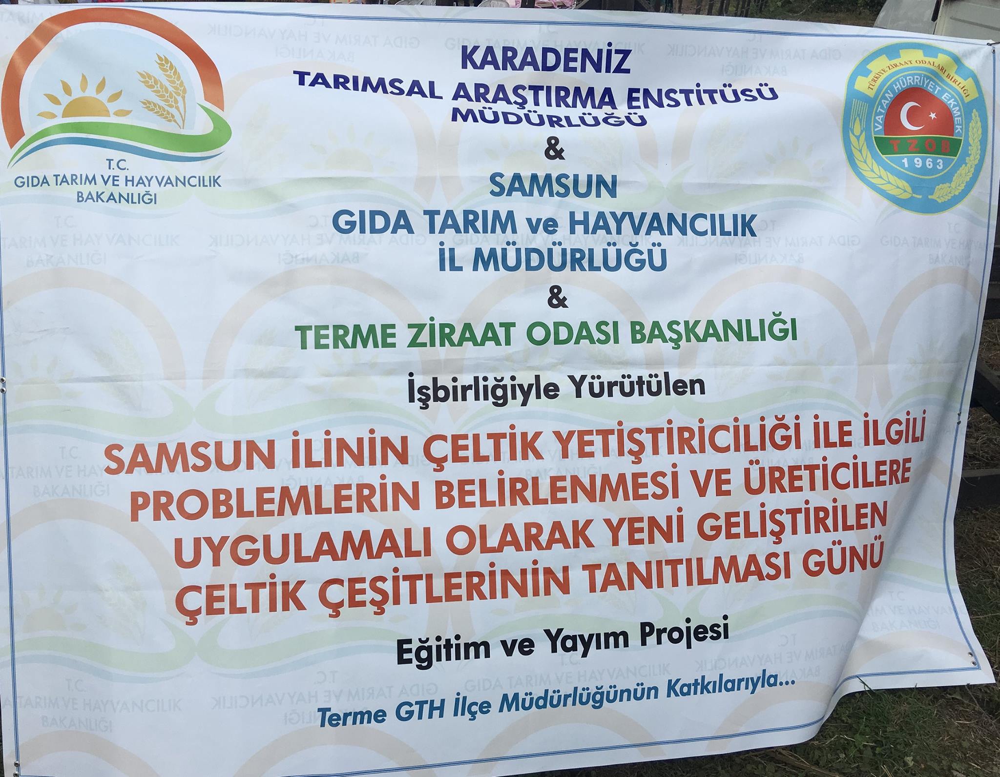 TERME` DE ÇELTİK TARLA GÜNÜNE KATILDIK