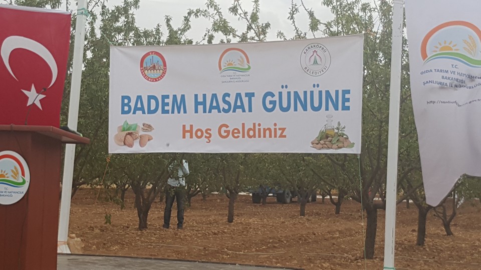 BADEM HASAT GÜNÜ KATILDIK.