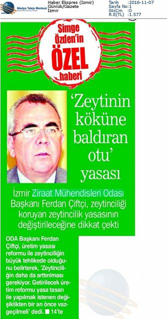 ZEYTİNİN KÖKÜNE BALDIRAN OTU YASASI-HABER EKSPRES GAZETESİ