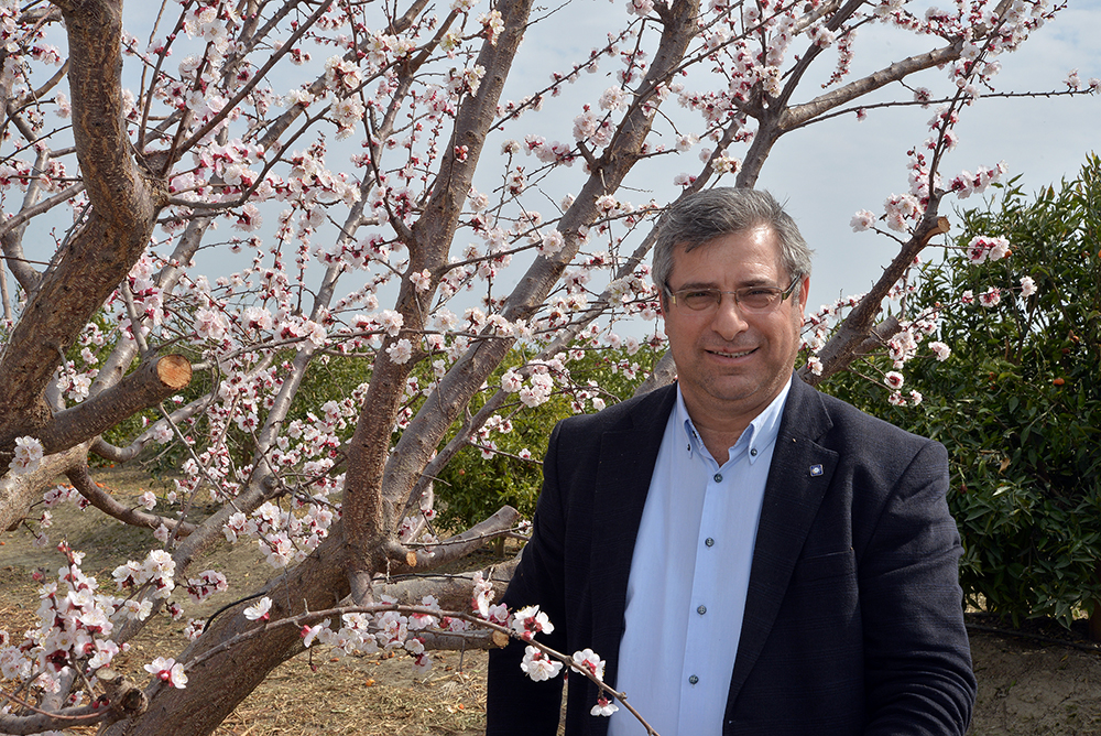 ARI ÖLÜMLERİ, TARIMSAL ÜRETİM İÇİN TEHLİKE OLUŞTURMAKTA!..
