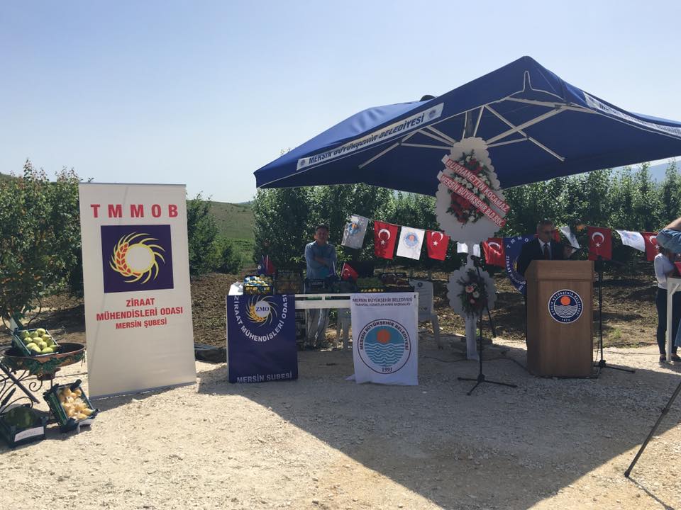 MERSİN MEYVE VE HASAT GÜNLERİ ETKİNLİĞİ