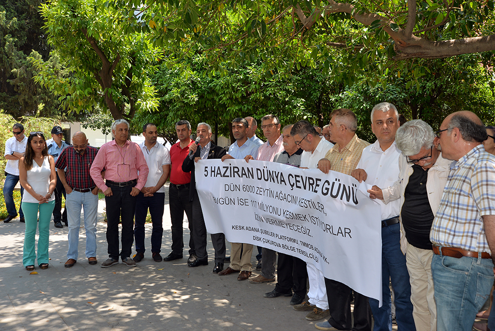 ZEYTİN AĞACIMA DOKUNMA