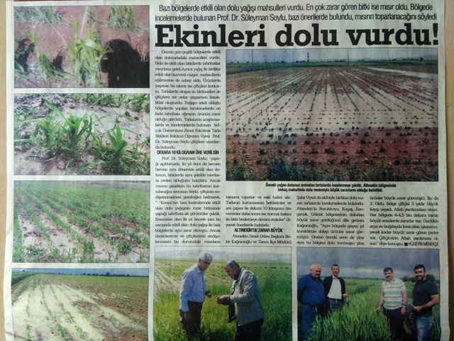 EKİNLERİ DOLU VURDU - YENİGÜN GAZETESİ