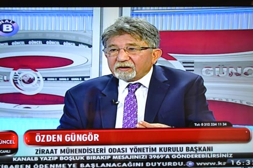 KANAL B - ZEYTİN YASASI VE MERA ALANLARI