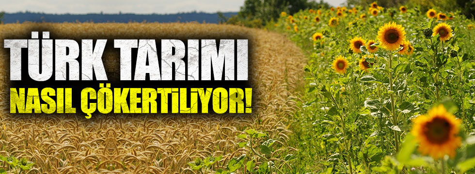 TÜRK TARIMI NASIL ÇÖKERTİLİYOR? YENİÇAĞ/17.06.2017