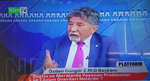 KÖY TV YAYINI