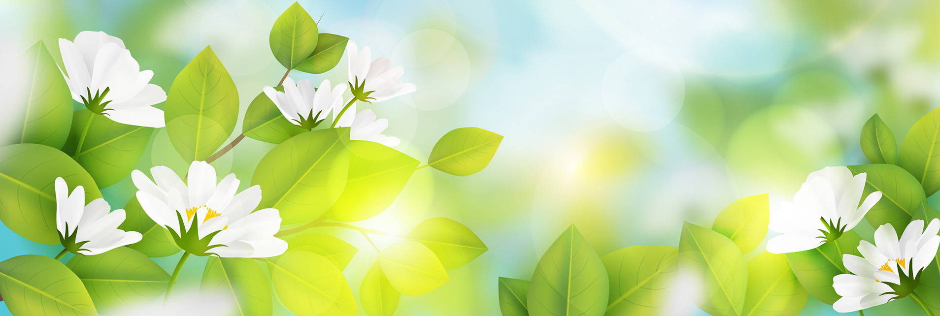 NEVRUZ / NEVROZ / NEWROZ / NOVRUZ 
BAYRAMI KUTLU OLSUN