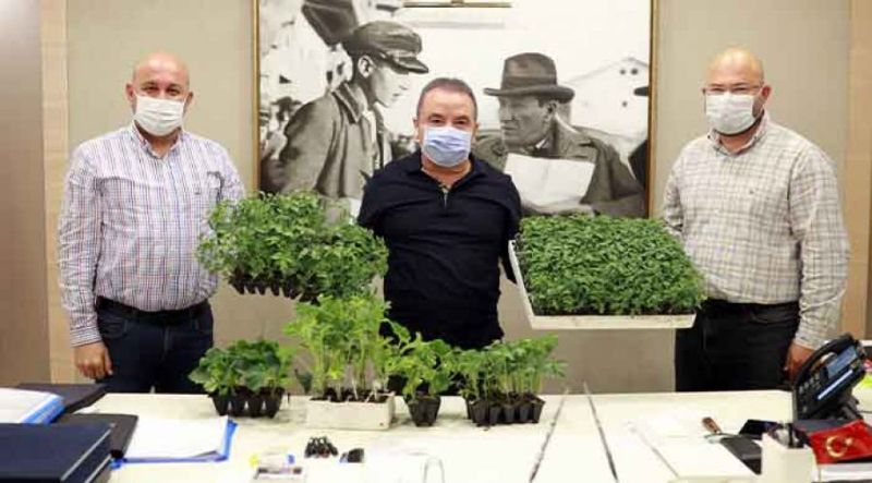 KAKTÜS HABER - BÜYÜKŞEHİRDEN ÇİFTÇİLERE FİDE DESTEĞİ - 4 MAYIS 2020