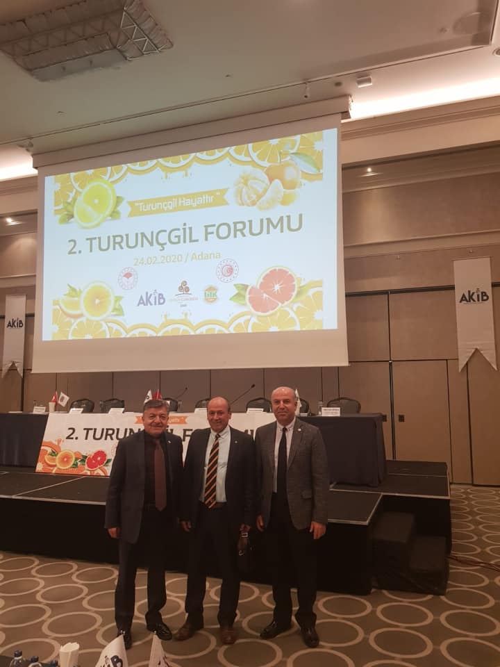 2.TURUNÇGİL FORMU