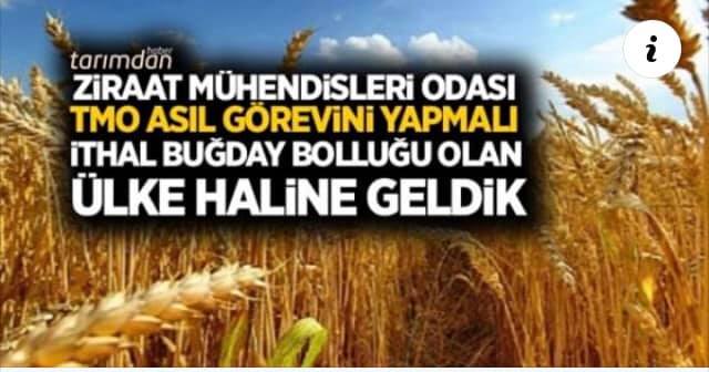 TARIMDAN HABER: ZİRAAT MÜHENDİSLERİ ODASI: TMO`YU ASIL GÖREVİNİ YAPMAYA DAVET EDİYORUZ- 16 AĞUSTOS 2020