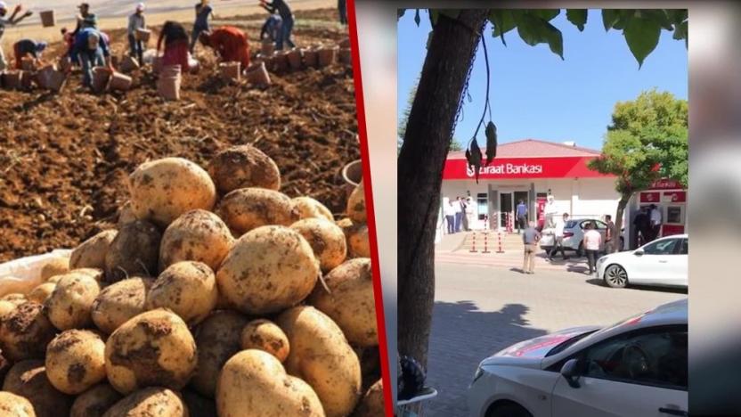 SOL GAZETE: AKP SEYREDERKEN... BİR PATATES ÜRETİCİSİ KENDİSİNİ YAKTI- 12 EYLÜL 2020