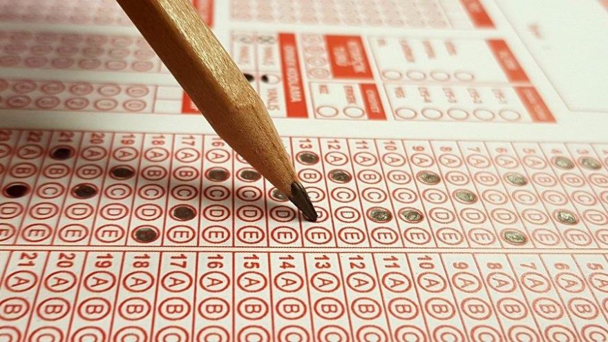 HABERAY.COM: TARIM BAKANLIĞI SINAV YAPTI! 80 SORUDAN 40 TANESİNİN CEVABI A' ŞIKKI ÇIKTI!- 25 EKİM 2020