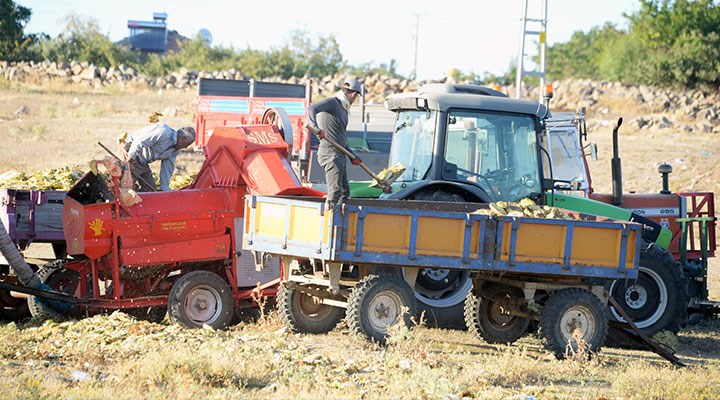BİRGÜN GAZETESİ: AYÇİÇEĞİNDE HER ŞEY DÖVİZE ENDEKSLİ-  07 EYLÜL 2020