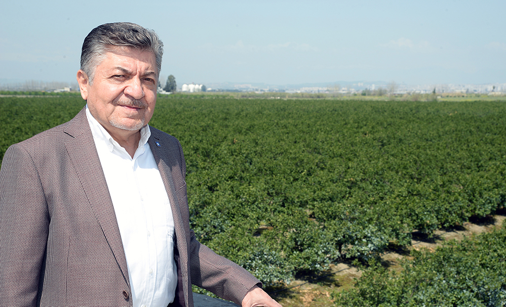 PORTAKAL İHRACATINA BAKANLIK ENGELİ