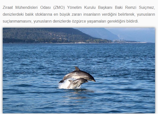 AYDINLIK GAZETESİ: `ZARARI YUNUSLAR DEĞİL İNSANLAR VERİYOR`- 15 OCAK 2021