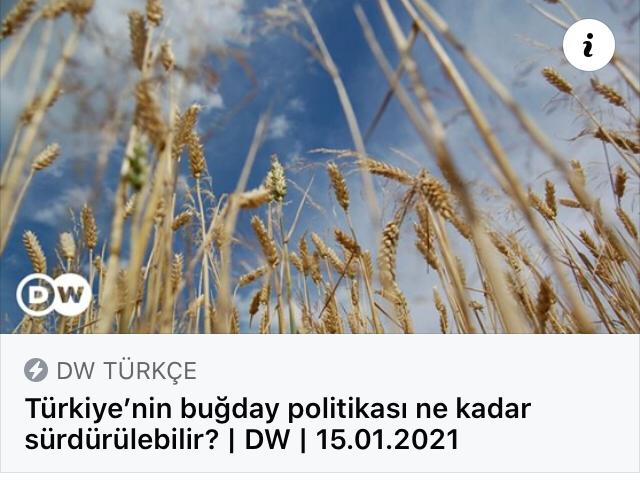 DEUTSCHE WELLE TÜRKÇE (DW)HABER: TÜRKİYE'NİN BUĞDAY POLİTİKASI NE KADAR SÜRDÜRÜLEBİLİR?- 15 OCAK 2021