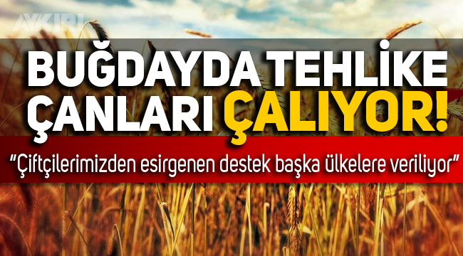 AYKIRI.COM: TOPRAK MAHSULLERİ OFİSİ`NİN SON RAPORUNA GÖRE BUĞDAYDA TEHLİKE ÇANLARI ÇALIYOR- 24 OCAK 2021