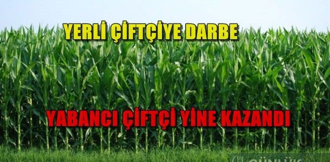 GÜNLÜK BAKIŞ: ÇİFTÇİYE 1325 LİRA VERİLDİ; 1759 TL'DEN İTHALAT YAPILACAK- 15 MART 2021