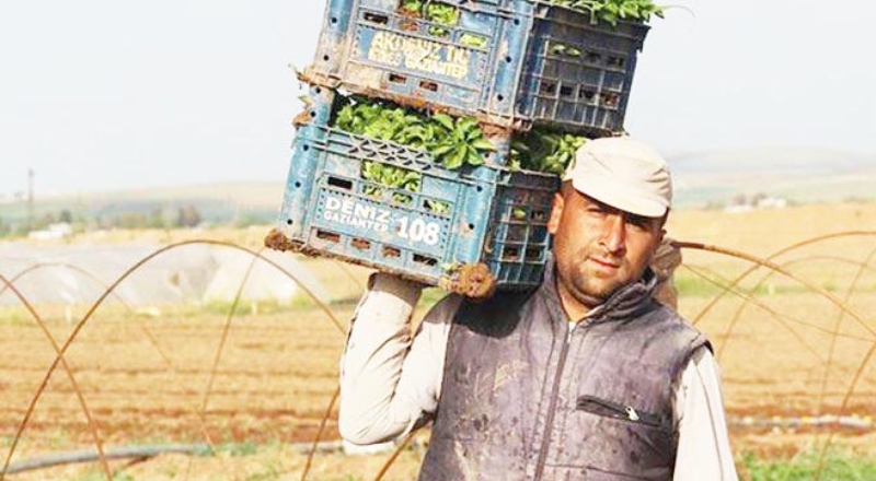 TURKİSH NEWS AGENCY: ÇİFTÇİYE 1325 LİRA VERİLDİ 1759 TL'DEN İTHALAT YAPILACAK- 15 MART 2021